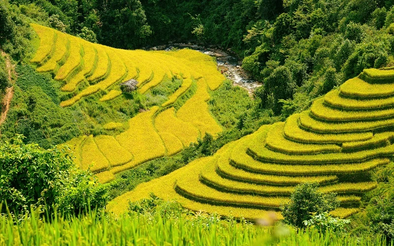Impressive Vietnam 12 Days | Vietnam Classic Tour