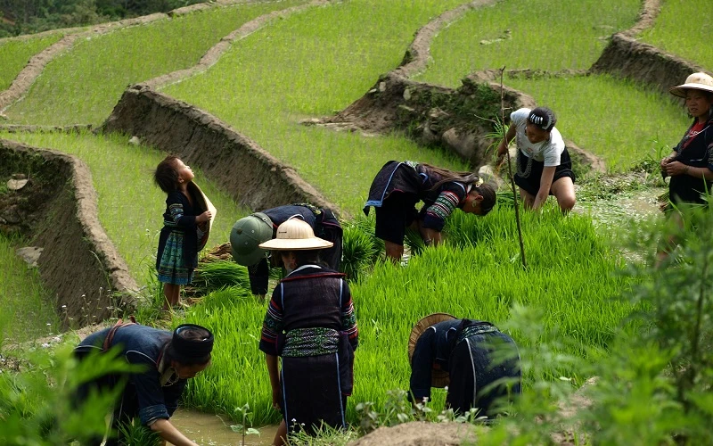 Impressive Vietnam 12 Days | Vietnam Classic Tour